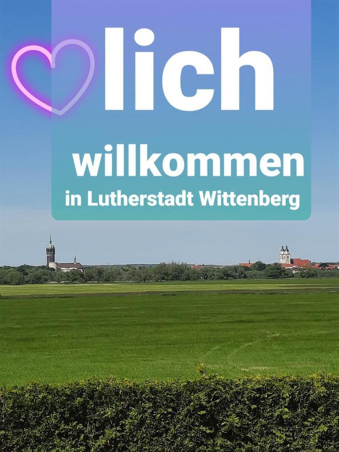 Ferienwohnung Mit Elbwiesenblick Wittenberg 외부 사진