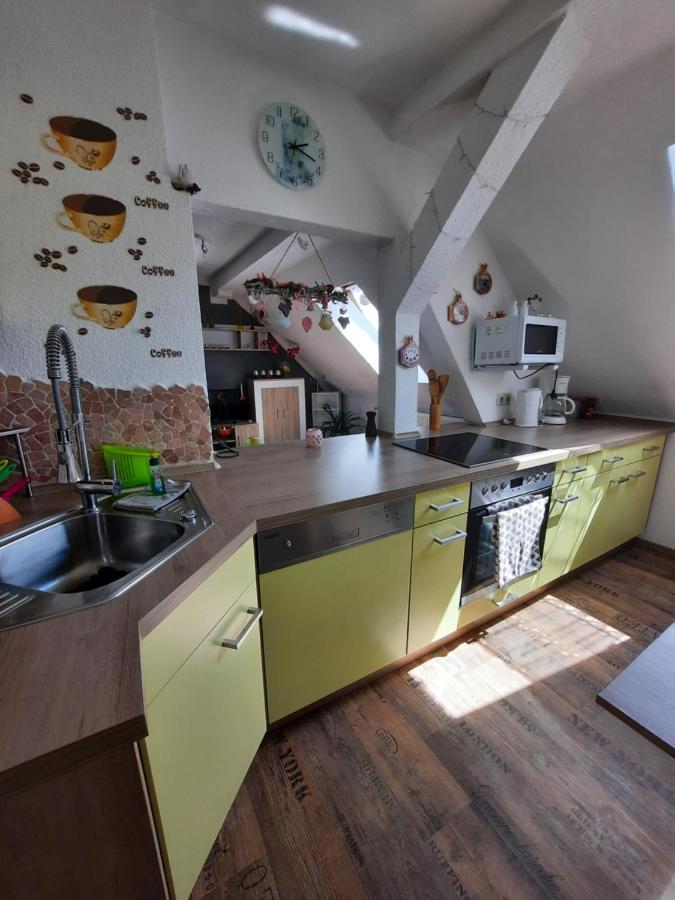 Ferienwohnung Mit Elbwiesenblick Wittenberg 외부 사진